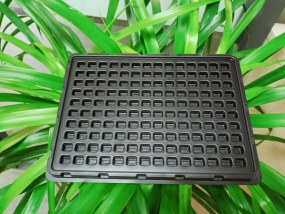 高潮内射免费看片