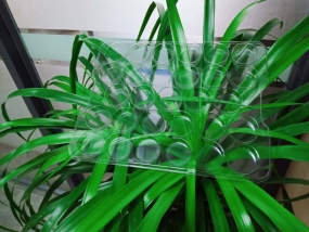 汽车配件吸塑托盘